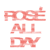 Rose all day